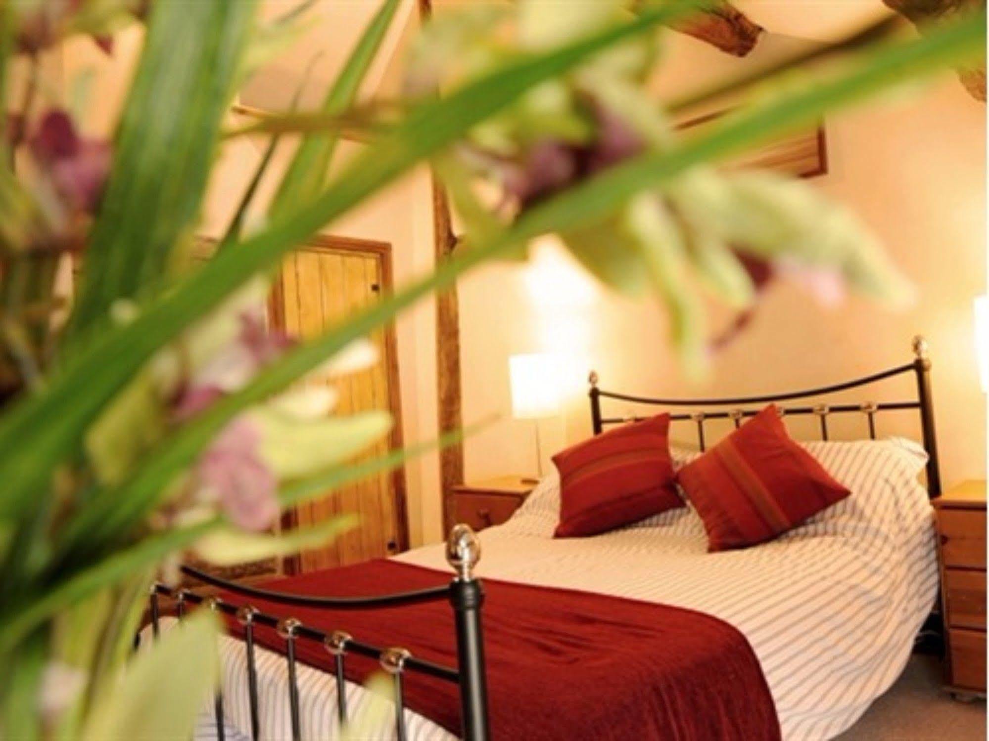 Hotel Ty Morgan'S Rhayader Zewnętrze zdjęcie